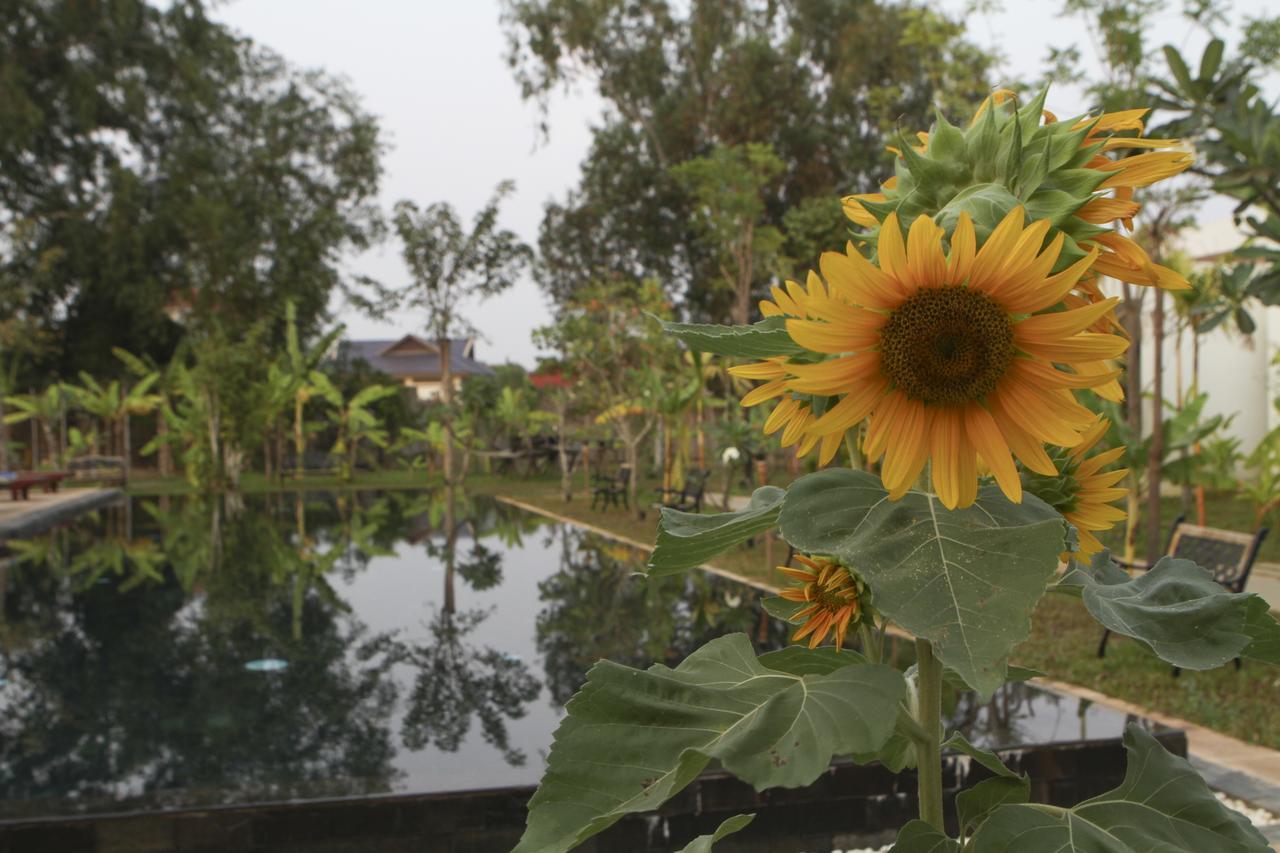 Blue Spring Boutique Hotel Sziemreap Kültér fotó