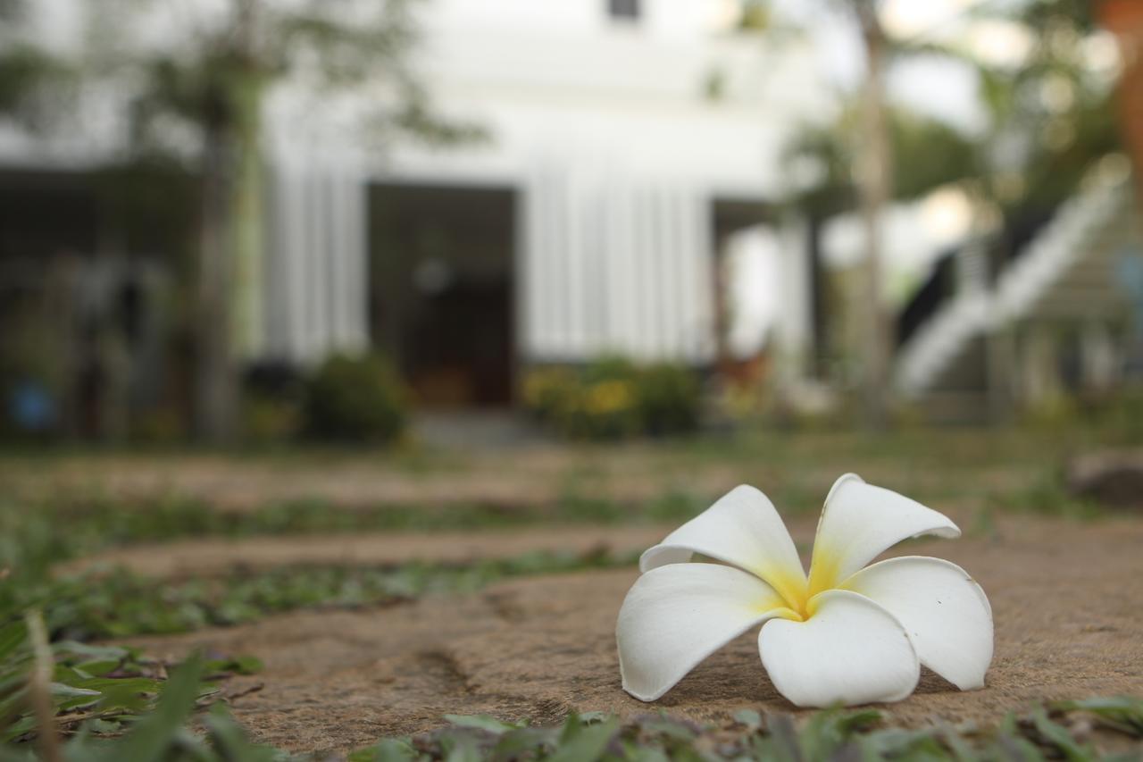Blue Spring Boutique Hotel Sziemreap Kültér fotó